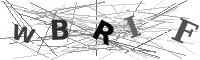 Please refresh your browser to see this image.