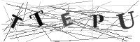 Please refresh your browser to see this image.