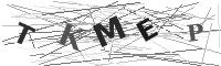 Please refresh your browser to see this image.